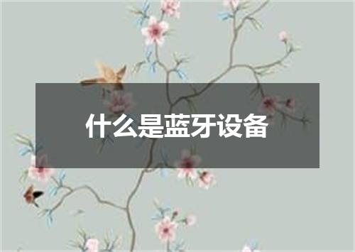 什么是蓝牙设备