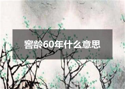 窖龄60年什么意思