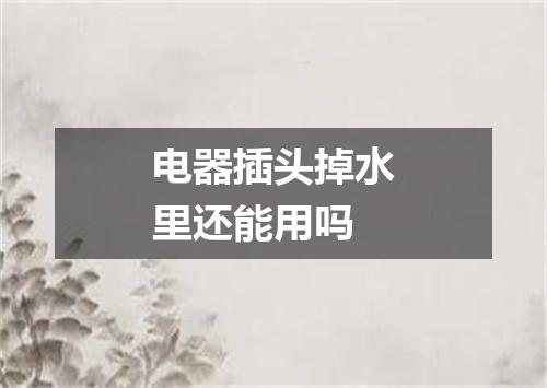 电器插头掉水里还能用吗