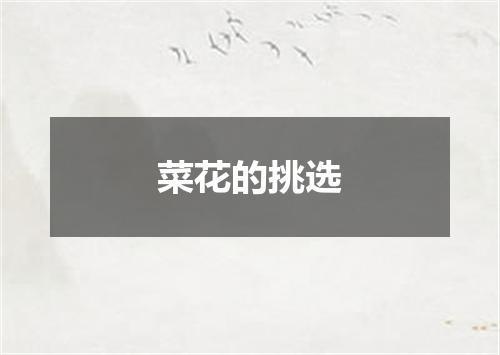 菜花的挑选