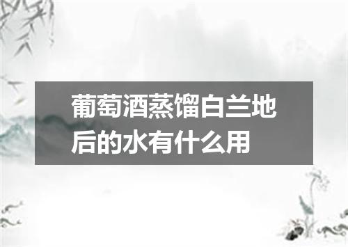 葡萄酒蒸馏白兰地后的水有什么用