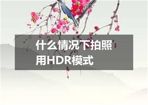什么情况下拍照用HDR模式