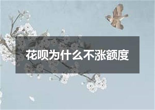花呗为什么不涨额度