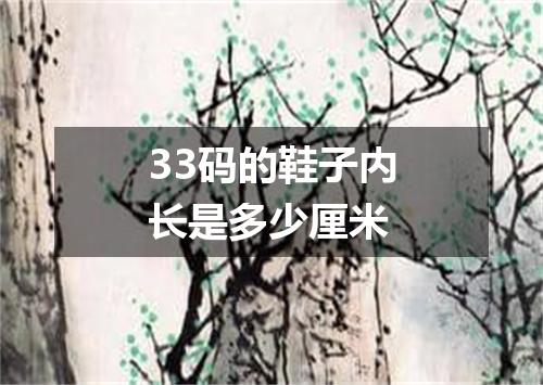 33码的鞋子内长是多少厘米