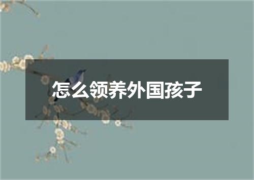 怎么领养外国孩子