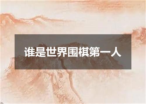 谁是世界围棋第一人