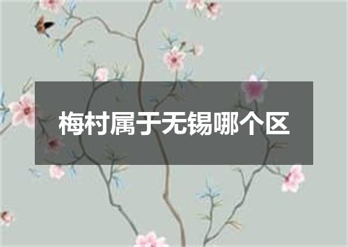 梅村属于无锡哪个区