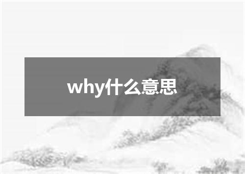 why什么意思