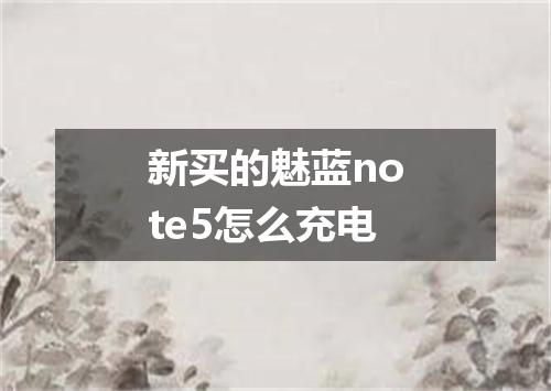 新买的魅蓝note5怎么充电
