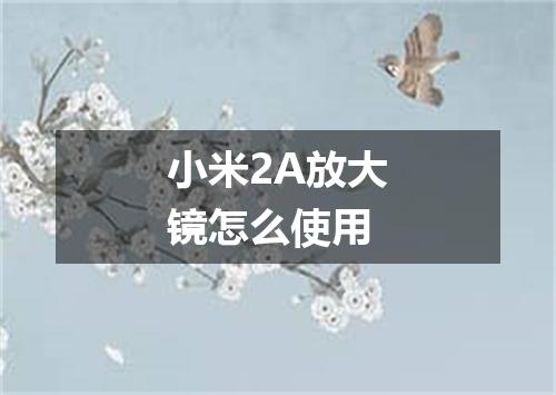 小米2A放大镜怎么使用