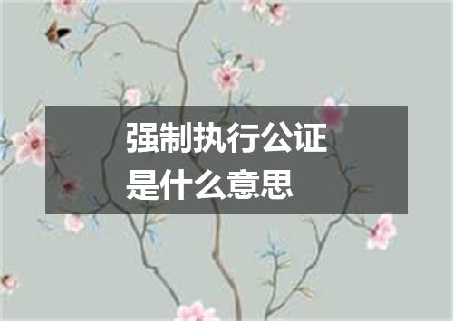 强制执行公证是什么意思