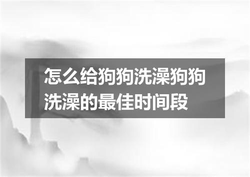 怎么给狗狗洗澡狗狗洗澡的最佳时间段