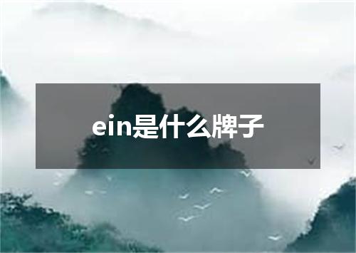 ein是什么牌子