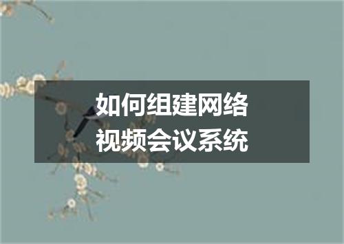 如何组建网络视频会议系统
