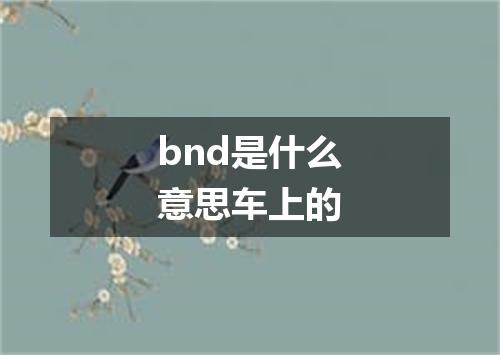 bnd是什么意思车上的