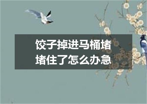 饺子掉进马桶堵堵住了怎么办急
