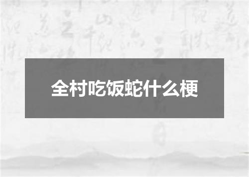全村吃饭蛇什么梗