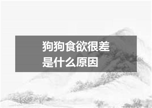 狗狗食欲很差是什么原因
