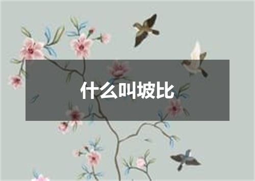 什么叫坡比