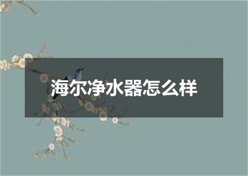 海尔净水器怎么样