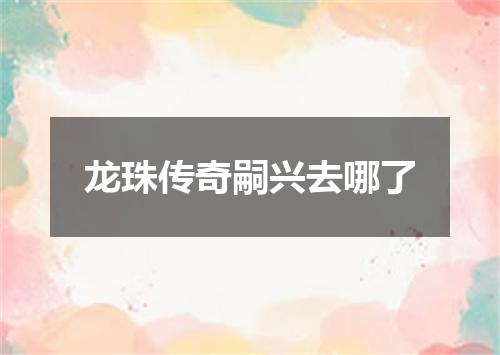 龙珠传奇嗣兴去哪了