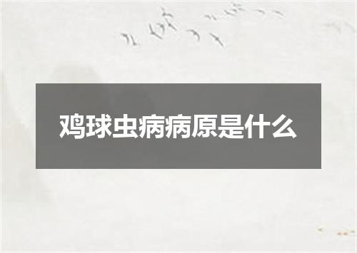 鸡球虫病病原是什么