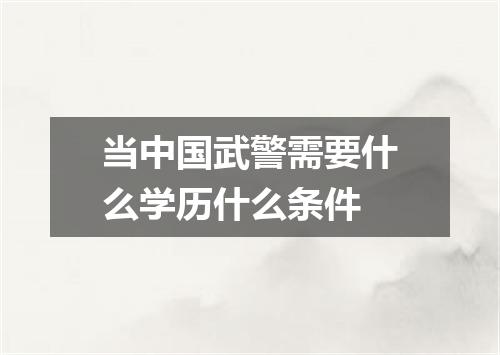 当中国武警需要什么学历什么条件