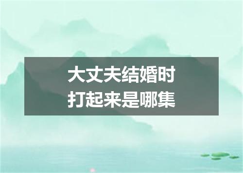 大丈夫结婚时打起来是哪集