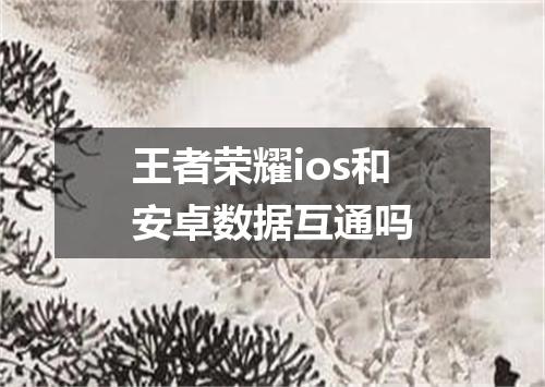 王者荣耀ios和安卓数据互通吗