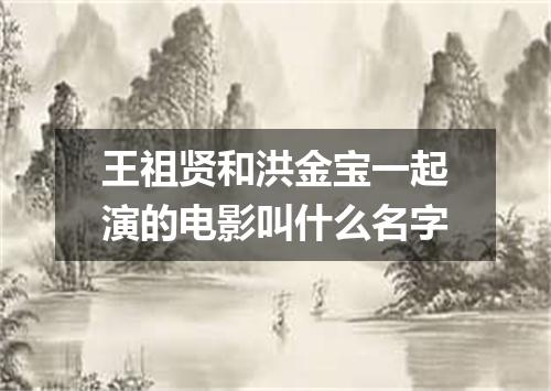 王祖贤和洪金宝一起演的电影叫什么名字