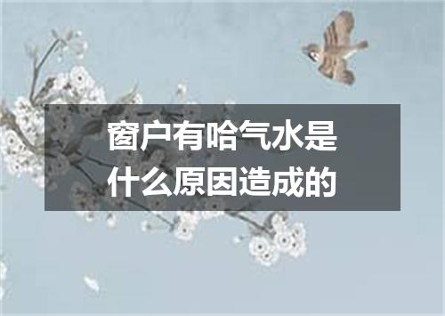 窗户有哈气水是什么原因造成的