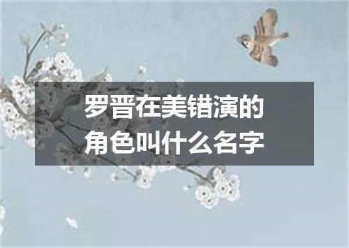 罗晋在美错演的角色叫什么名字