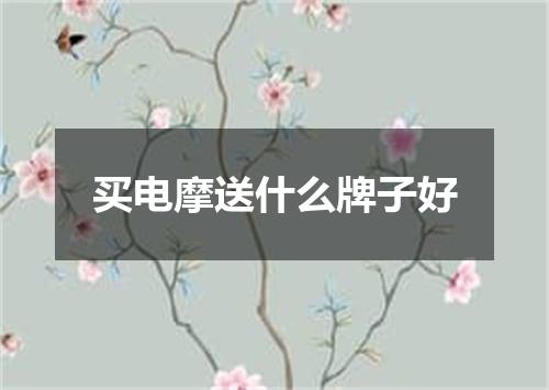 买电摩送什么牌子好