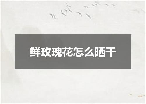 鲜玫瑰花怎么晒干