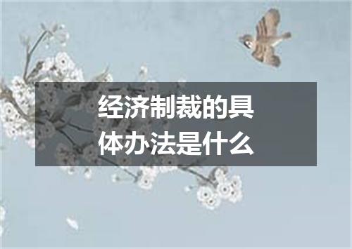 经济制裁的具体办法是什么