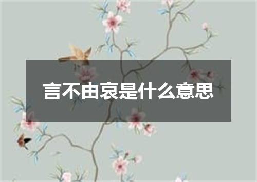 言不由哀是什么意思