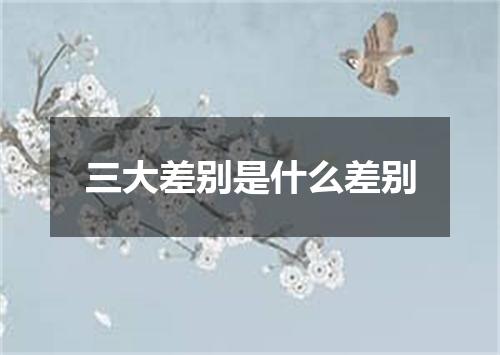 三大差别是什么差别