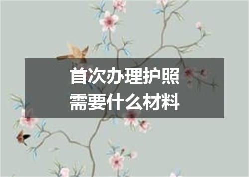 首次办理护照需要什么材料