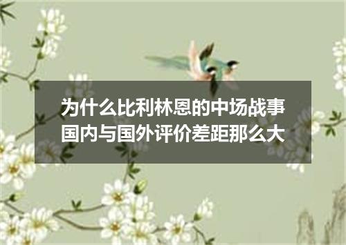 为什么比利林恩的中场战事国内与国外评价差距那么大
