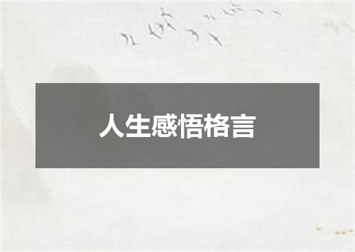 人生感悟格言