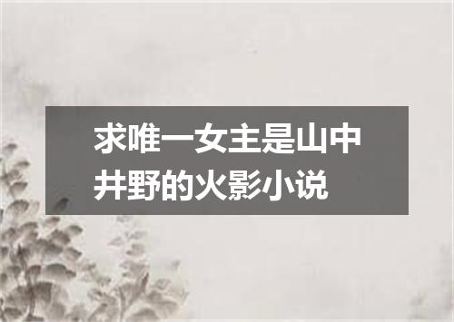 求唯一女主是山中井野的火影小说