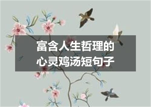 富含人生哲理的心灵鸡汤短句子