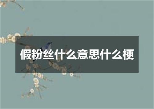 假粉丝什么意思什么梗