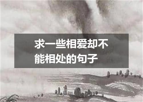 求一些相爱却不能相处的句子