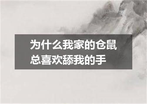 为什么我家的仓鼠总喜欢舔我的手