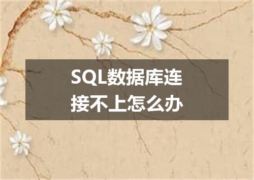 SQL数据库连接不上怎么办