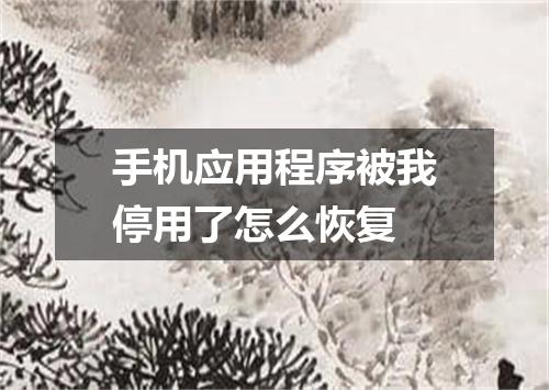 手机应用程序被我停用了怎么恢复