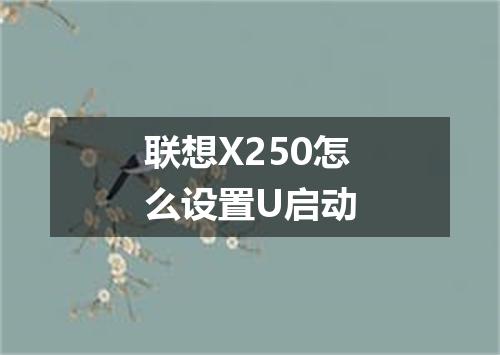 联想X250怎么设置U启动
