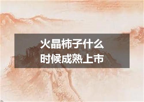 火晶柿子什么时候成熟上市