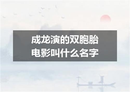 成龙演的双胞胎电影叫什么名字